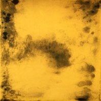 stained-gold-102.jpg