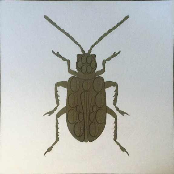 Beetle - from the Sandblast Etching portfolio | Ellison Art Glass